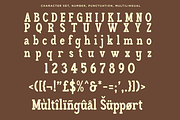 Haleriy - Ligature Slab Serif Font, a Slab Serif Font by RagamKata (Thumbnail 9 of 10)