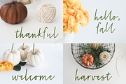 Harvest Grey, a Script Font by Lone Star Lettering (Thumbnail 4 of 10)