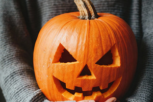 Hands Holding an Halloween Pumpkin, a Person Photo by Virgo Studio