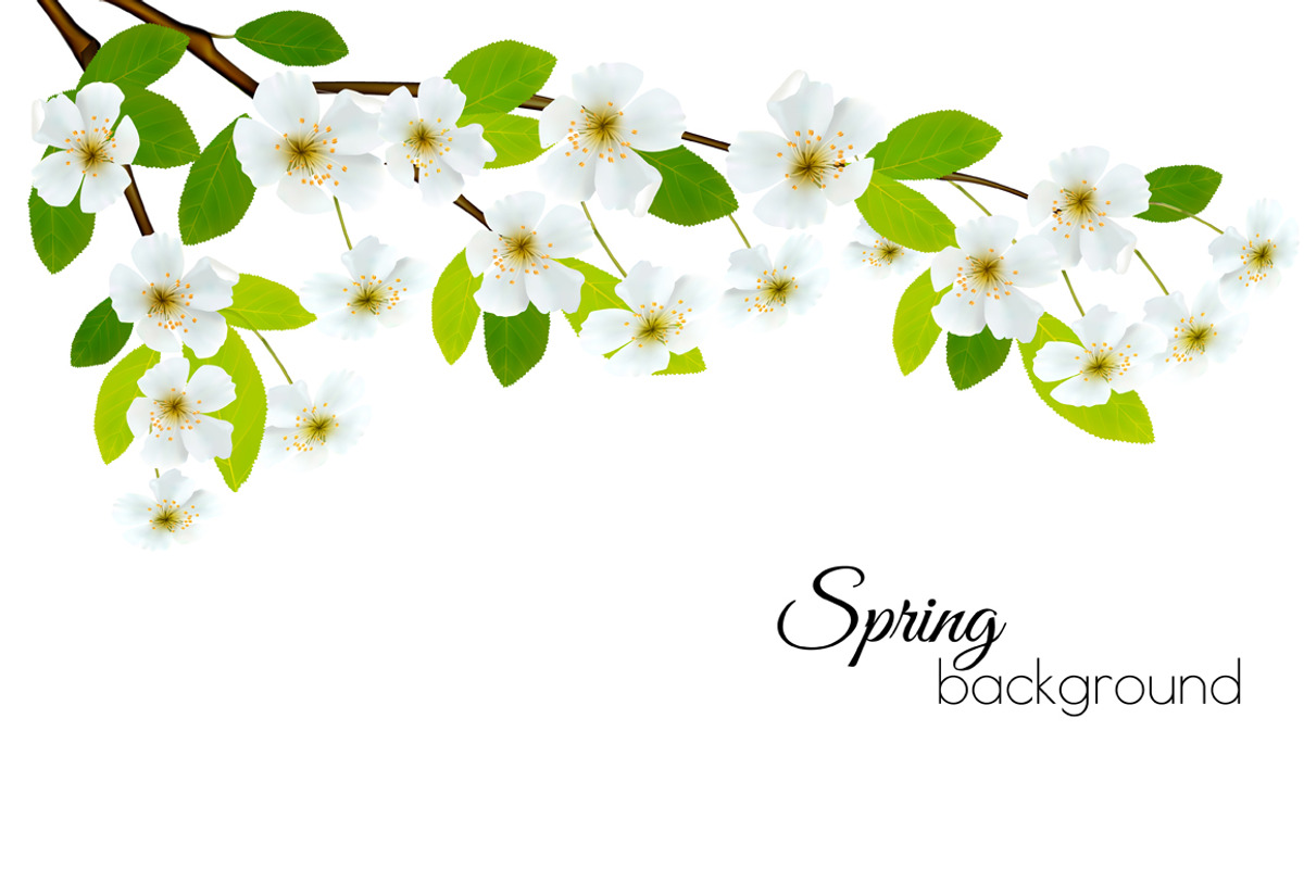 Spring background with white flowers, a Decorative Illustration by ecco