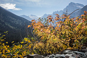 Glacier National Park Photo Pack, a Templates & Theme by Amazing Photography (Thumbnail 5 of 5)