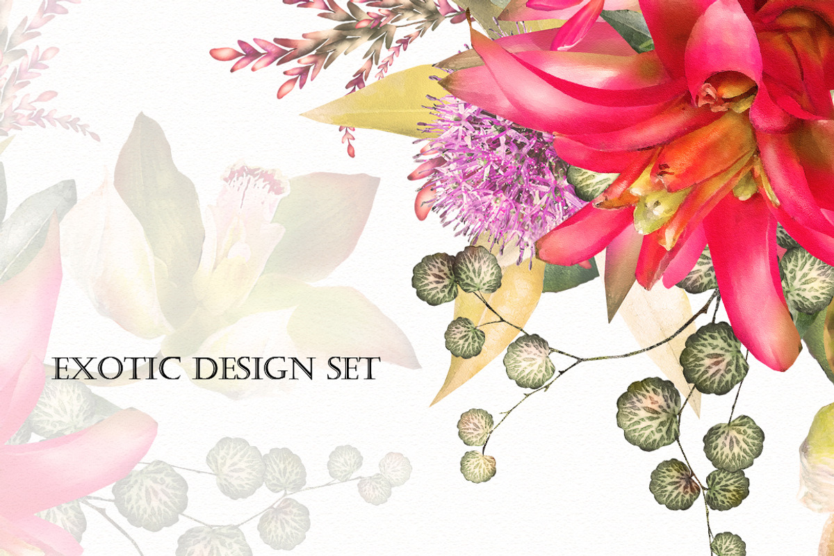 Tropical collection. Summer design., a Decorative Illustration by Lisima (Photo 16 of 19)
