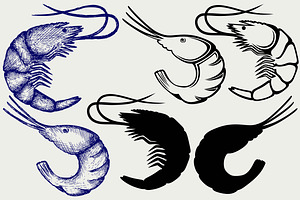 Boiled shrimp SVG