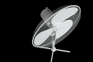 Oscillating Pedestal Fan