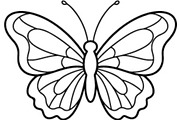 Butterfly SVG Bundle, an Object Graphic by Gfx_Store (Thumbnail 11 of 32)