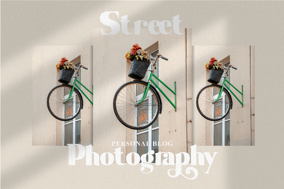 Shaqilla - modern serif, a Serif Font by ribethstudio (Photo 8 of 15)