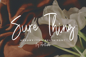 Sure Thing - Signature Brush, a Handwritten Font by tebaltipislab