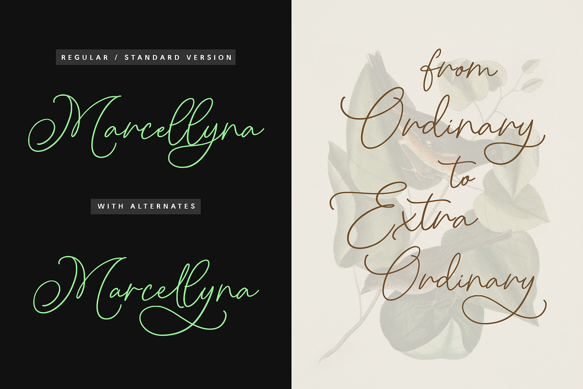 Marcellyna - Soft Luxury Script, a Script Font by Inviline.co (Photo 7 of 12)