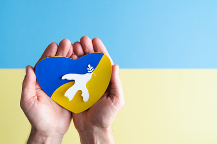 Hands holding white dove with paper, an Arts & Entertainment Photo by Mineko