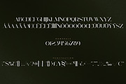 Billionaire Club - Art Deco Serif, a Serif Font by VP Fonts (Thumbnail 9 of 12)
