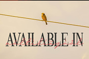 Andalusia a Beautiful Script Font, a Script Font by Lettertype Studio (Thumbnail 19 of 19)