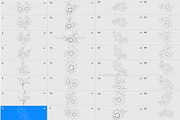 Procreate flower stamp, sunflower, a Brush Add-On by AnnaPolitmerskaja (Thumbnail 6 of 11)