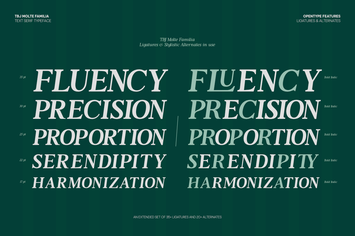 TBJ Moltefamilia Serif italic, a Serif Font by Taboja Studio (Photo 5 of 15)
