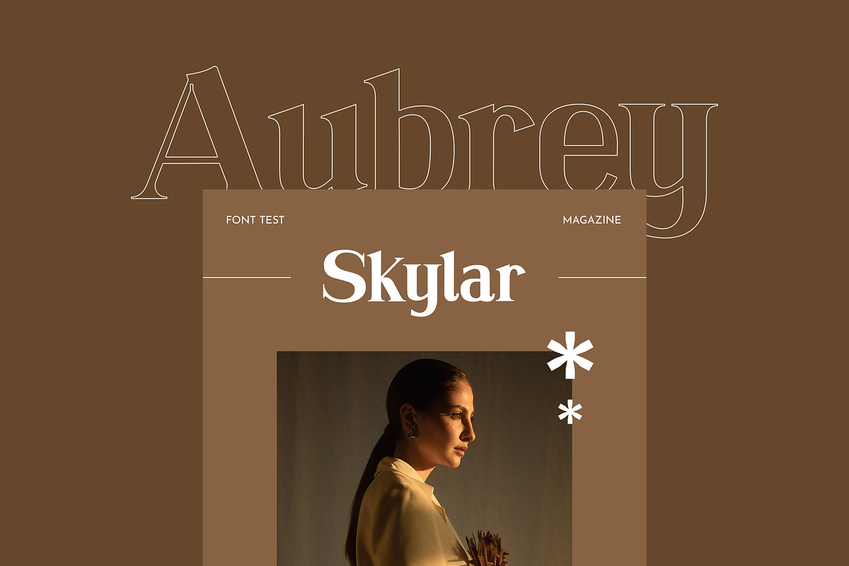 Cremiline Serif Font, a Serif Font by UICreative (Photo 3 of 6)