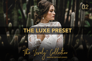 FineArt Wedding Pro Lightroom Preset