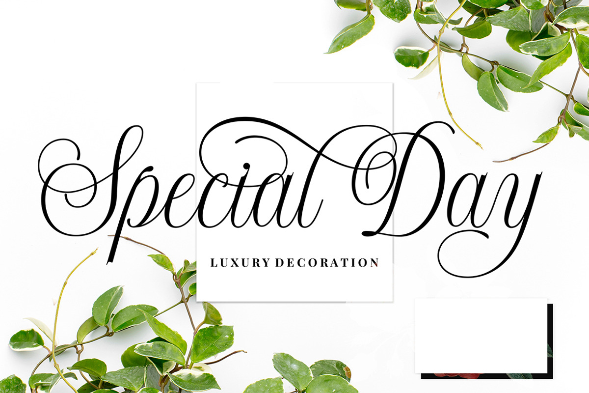 Shintosa Script, a Script Font by Picatype Studio (Photo 3 of 8)
