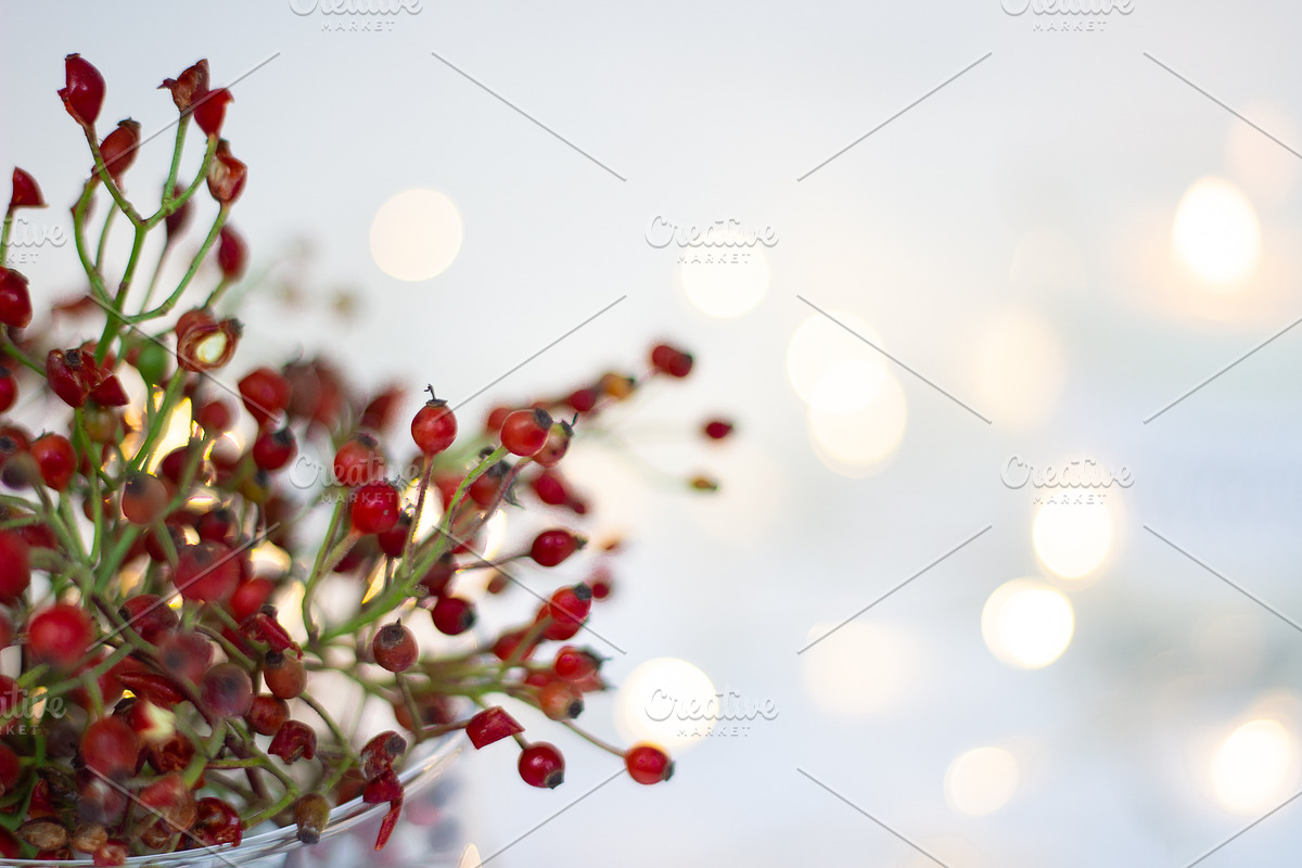 Christmas Berry styled stock images, a Holiday Photo by Chalking Up Stock (Photo 9 of 13)
