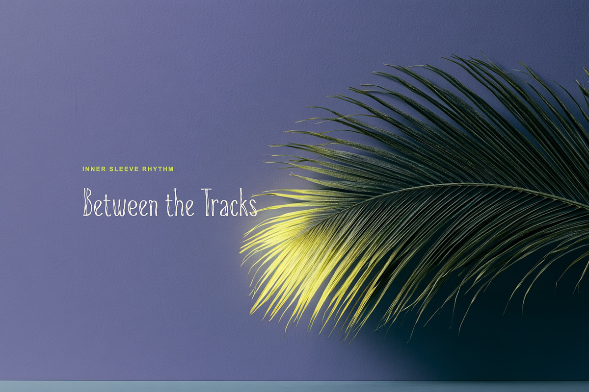 Moth Sausage Album Display Font, a Sans Serif Font by Graphic Spirit (Photo 5 of 8)