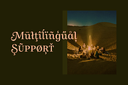 Allust Italic Font, a Serif Font by Halfmoon Type (Thumbnail 4 of 11)