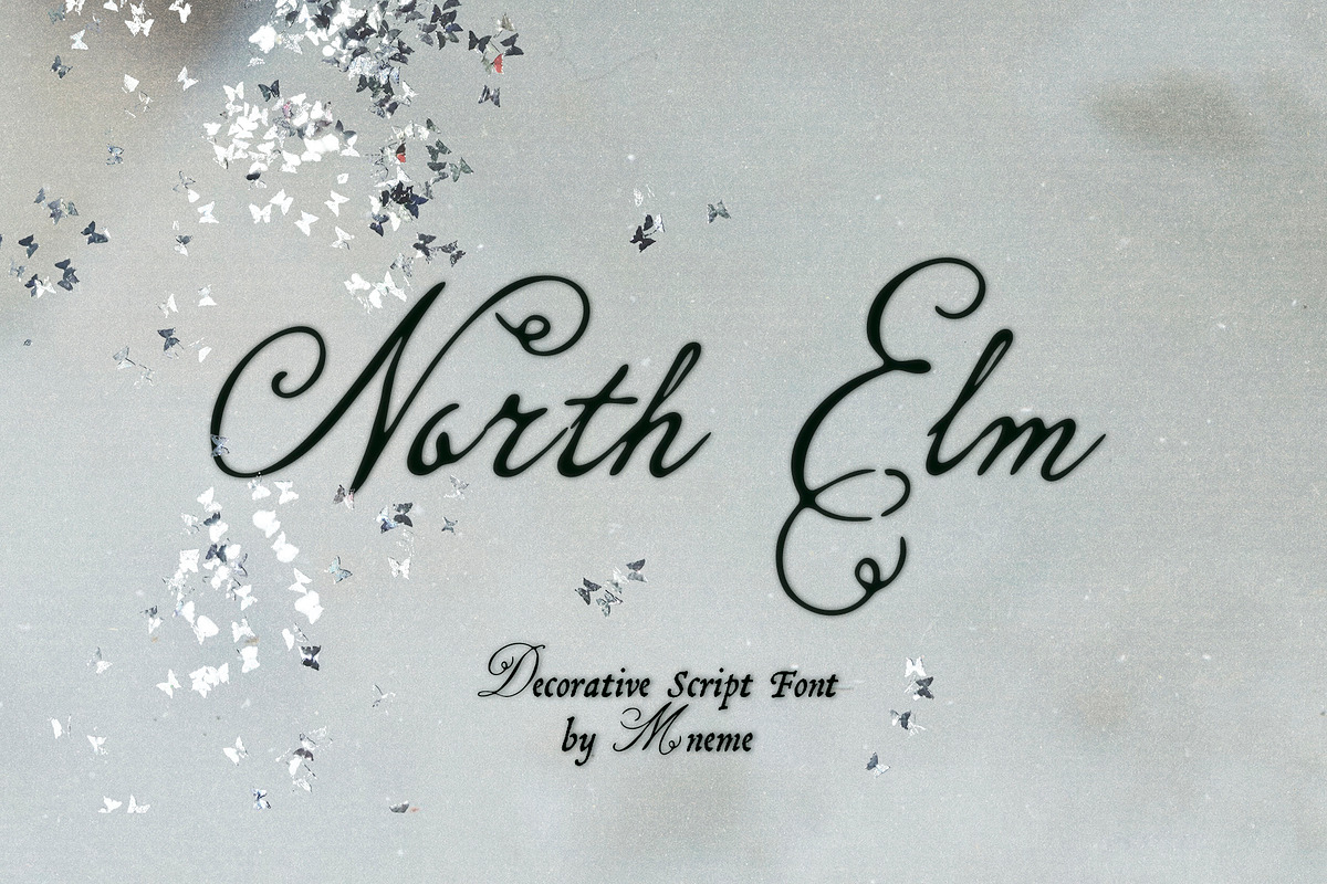 North Elm - Decorative Script Font, a Script Font by Mneme (Photo 1 of 8)