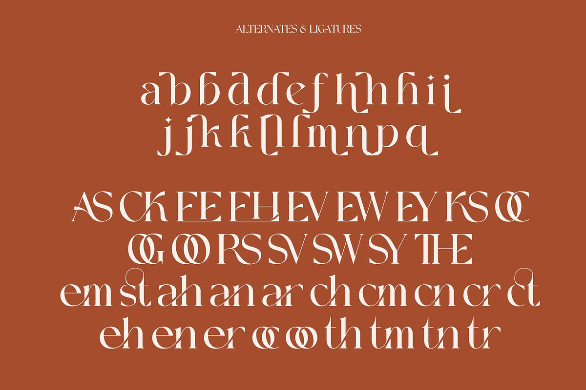Witerlam - Serif Display Font, a Serif Font by Luna Shop (Photo 3 of 11)
