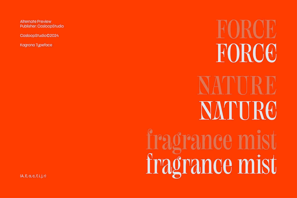Kagrona - Y2K Experimental Serif, a Serif Font by Casloop Studio (Photo 5 of 9)