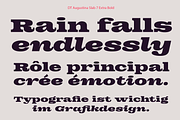 DT Augustina Slab 7 Subfamily, a Slab Serif Font by Deveze Type Foundry (Thumbnail 16 of 31)