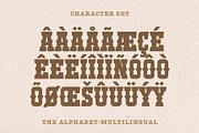 Cactus Hugger - Western Font, a Serif Font by ariodsgn (Thumbnail 3 of 6)