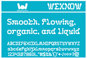 Fluidity font, a Font by weknow (Thumbnail 4 of 8)