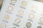 Hexagon Logo Emblems, a Branding & Logo Template by Artha Desain (Thumbnail 8 of 8)