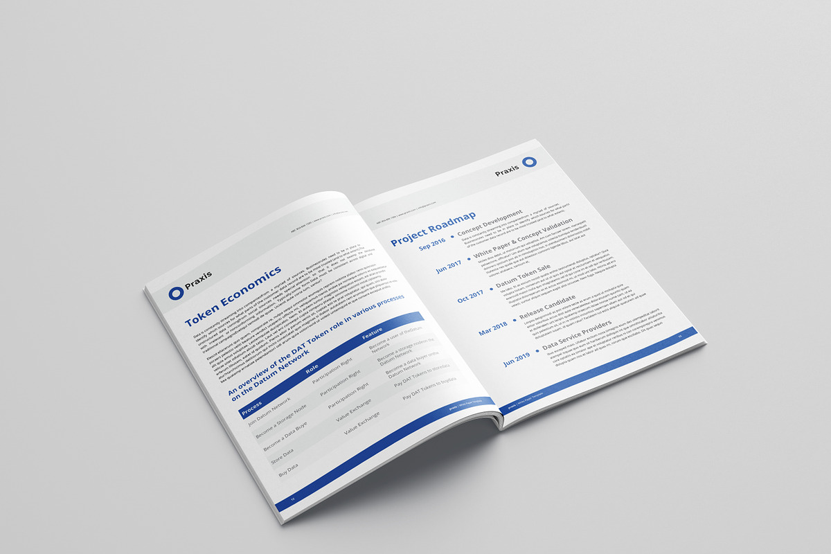 White Paper Template Word, a Brochure Template by azadcsstune (Photo 9 of 12)