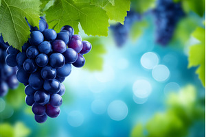 From the underside of luscious dark, a Food & Drink Photo by ZinetroN