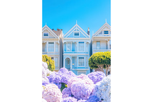 Painted Ladies Victorian houses in, an Architecture Photo by Lermont51