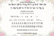 September Christmas | Script Font, a Handwritten Font by Scratchones (Thumbnail 7 of 9)