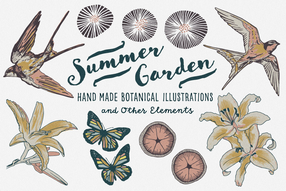Summer Garden, an Illustration by Sault Design