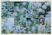 Summermist Floral Backgrounds, a Background Graphic by lerinartstudio (Thumbnail 9 of 10)