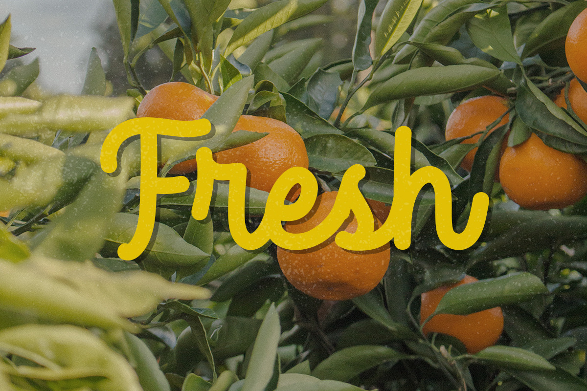 Rethina - Retro Script, a Script Font by Fikry Alfatih (Photo 2 of 7)