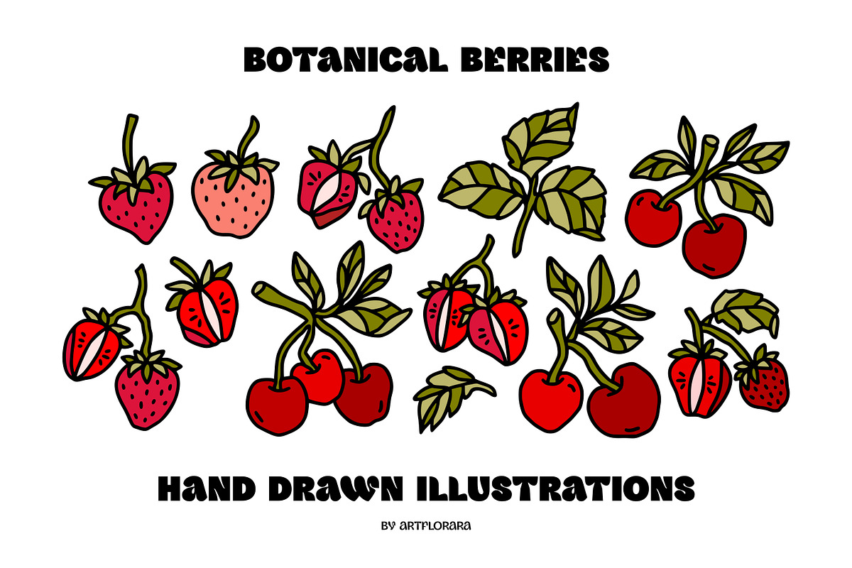Hand Drawn BOTANICAL BERRIES, an Object Graphic by Artflorara (Photo 3 of 9)