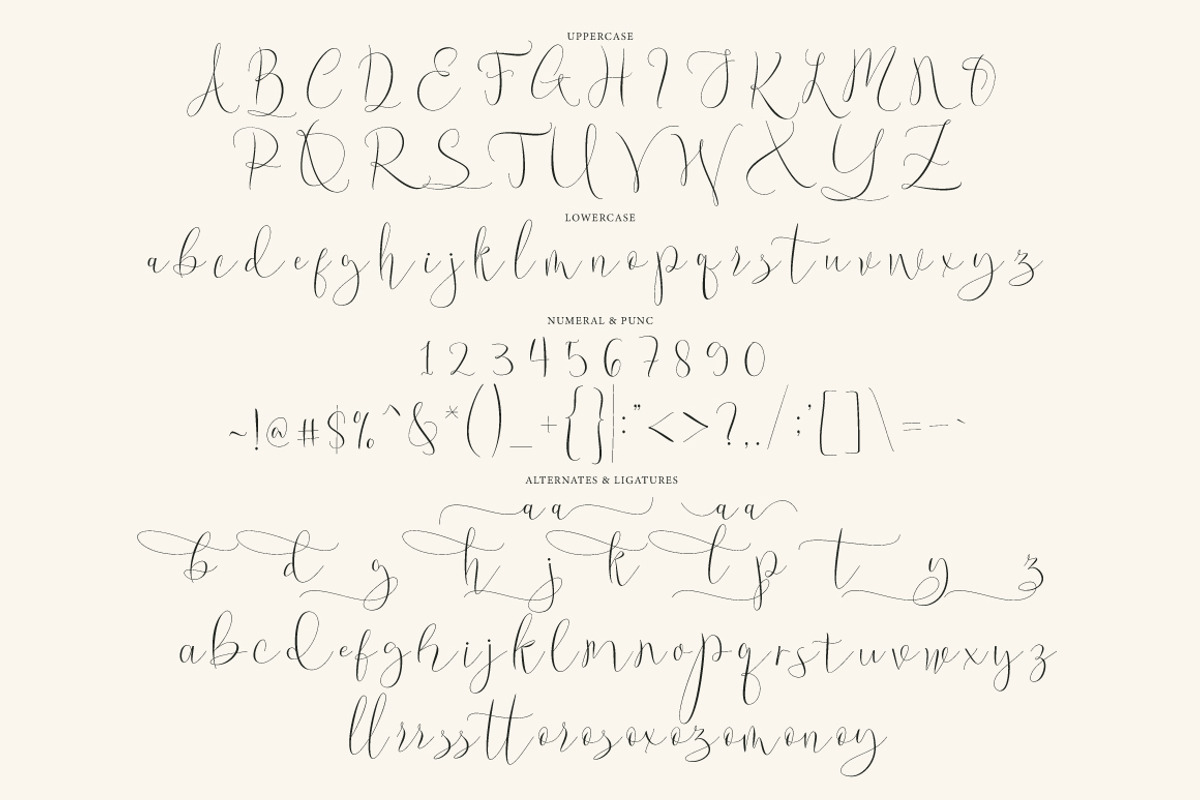 Wamoly - Luxury Script, a Script Font by tebaltipislab (Photo 7 of 10)
