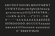 Vaggoe Elegant Serif Font, a Serif Font by Artiveko (Thumbnail 10 of 10)