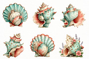 Whimsical summer seashell clipart, an Illustration by Designworld (Thumbnail 3 of 5)