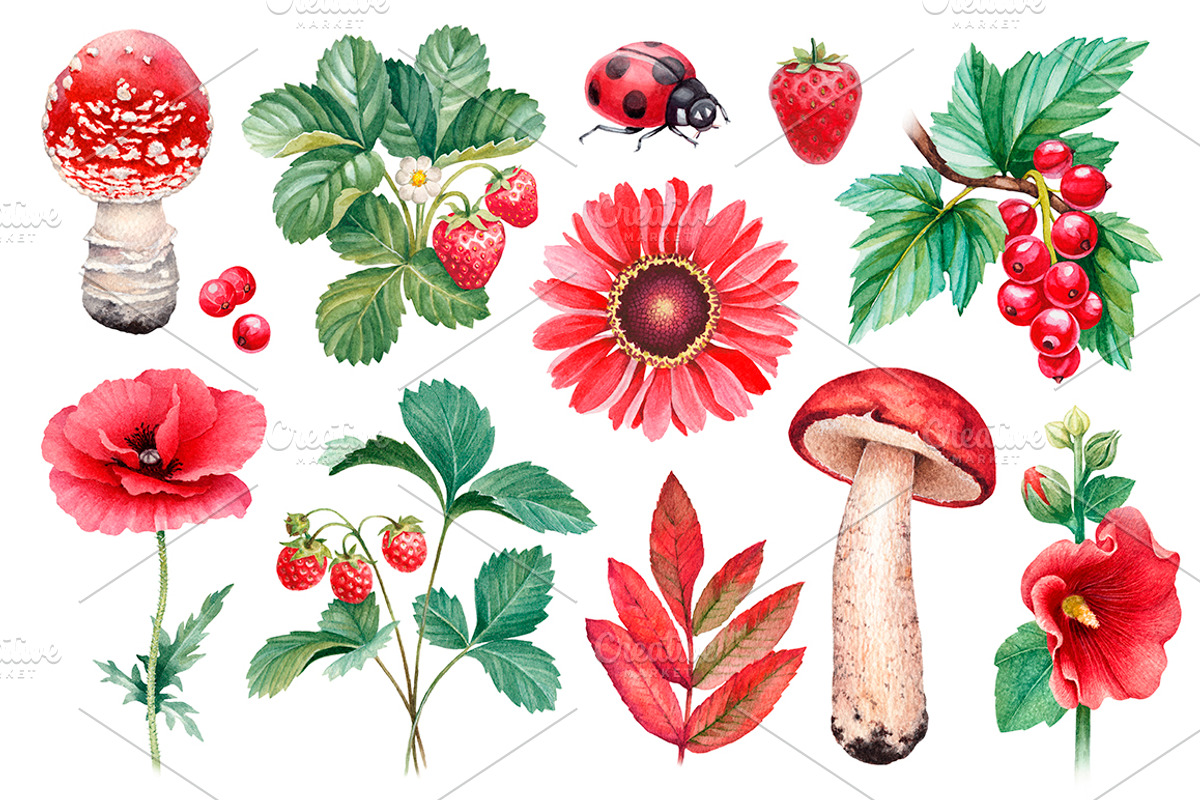 Red summer nature illustrations kit, a Texture Illustration by Sundra (Photo 1 of 7)