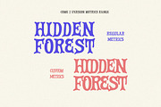Fairy Spell Magical Display Font, a Handwritten Font by Letterhend Studio (Thumbnail 7 of 13)