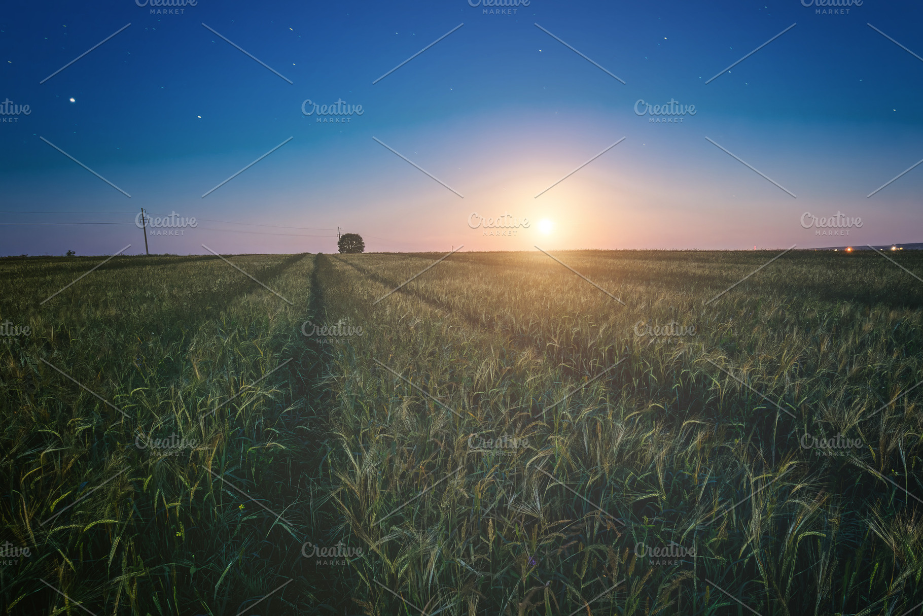 Rural landscape with a wheat field under moonlight, scenic sunse, a Nature Photo by Eugene_Photo