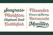 Bluestar Italic, a Font by Mika Melvas (Thumbnail 6 of 10)