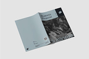 Project Business Proposal Template, a Brochure Template by TMint Play (Thumbnail 8 of 8)
