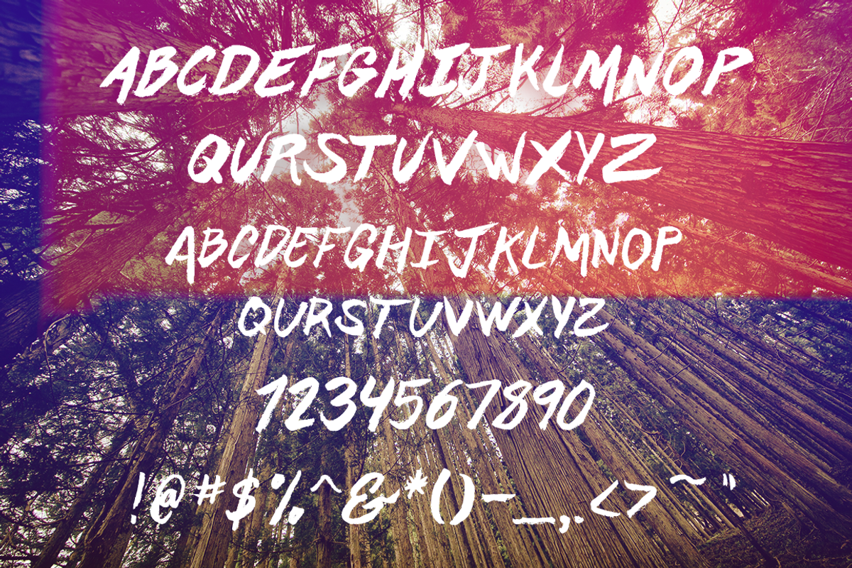 Marsh Hand Drawn Brush Font + Bonus preview 3