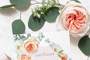 Watercolor Botanical Florals, a Decorative Illustration by Catherine Wheel (Thumbnail 24 of 43)