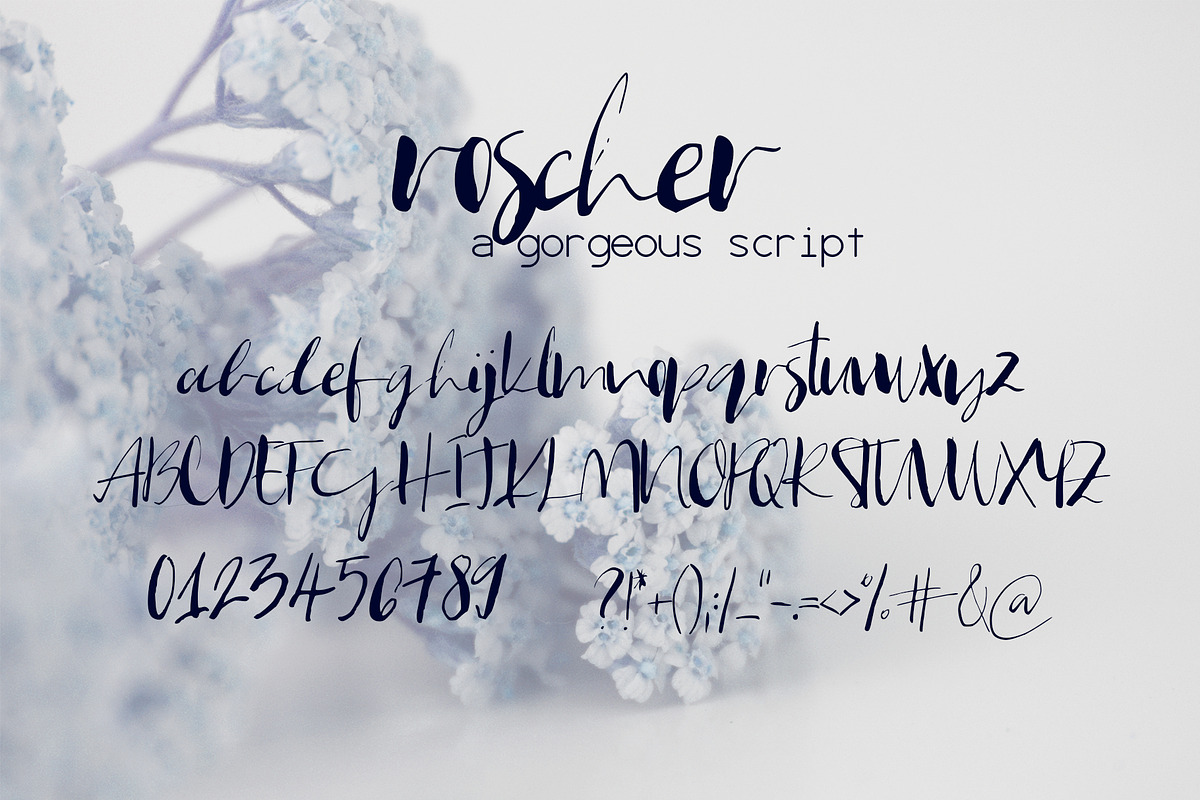 Roscher Font preview 8
