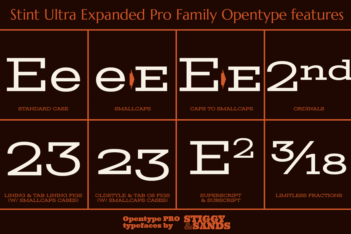 Stint Ultra Expanded Pro Family preview 4